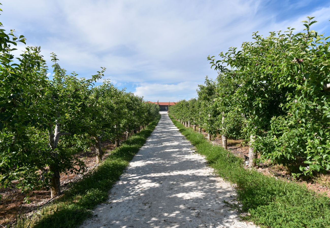 Villa em Armamar - Feel Discovery Maçã Douro