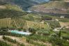 Villa em Folgosa - Feel Discovery Alvim's Douro