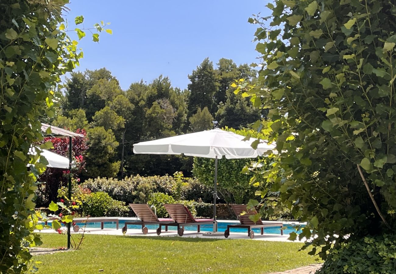Villa em Armamar - Feel Discovery Casa da Capela