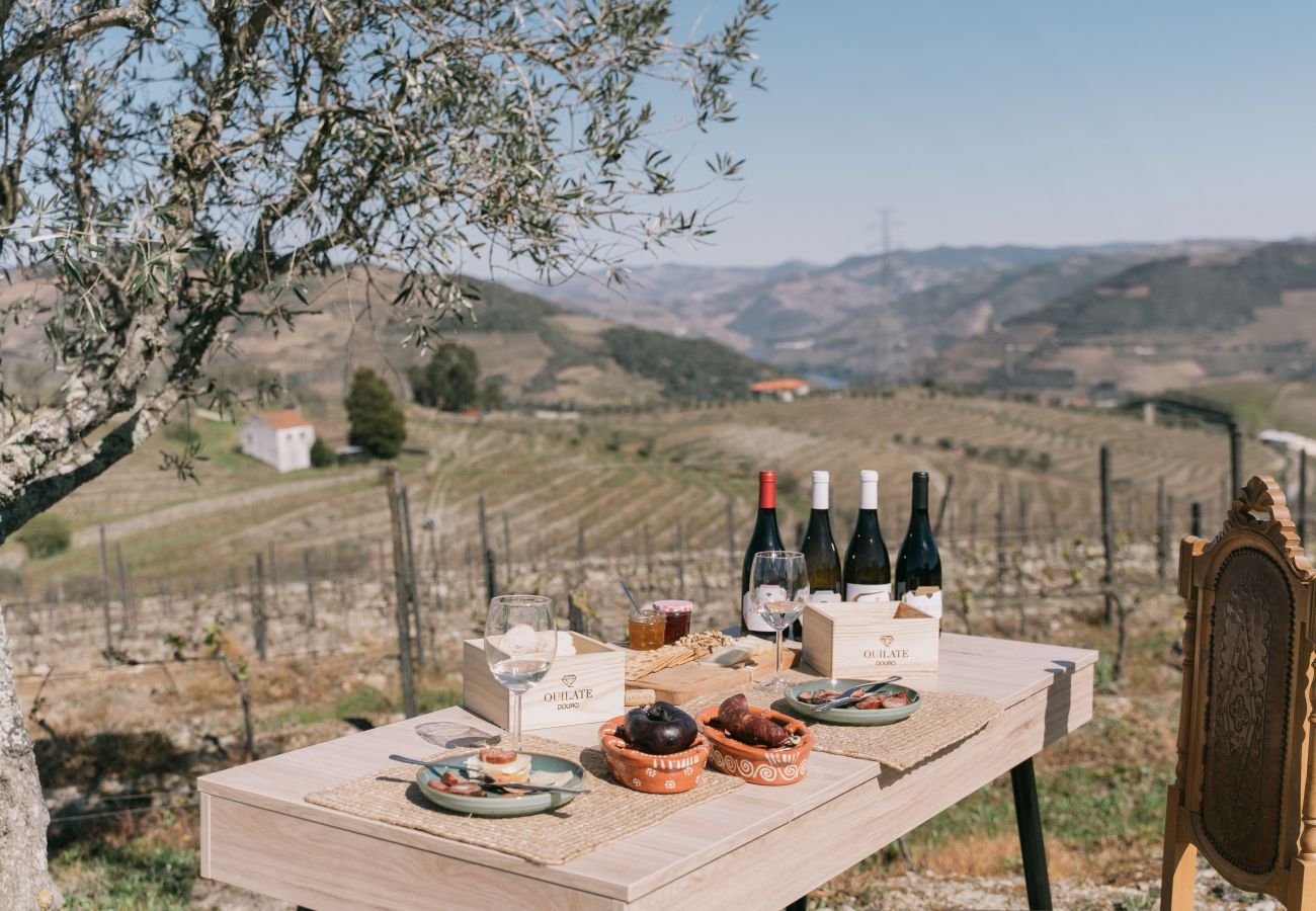 Villa em Peso da Régua - Feel Discovery Quinta do Muro Douro Valley