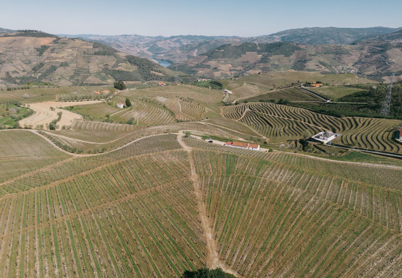 Villa em Peso da Régua - Feel Discovery Quinta do Muro Douro Valley