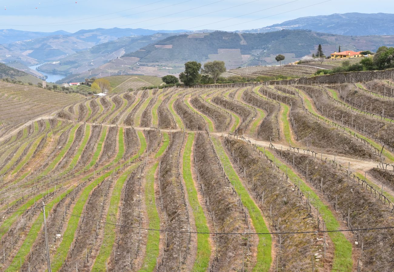 Villa em Peso da Régua - Feel Discovery Quinta do Muro Douro Valley