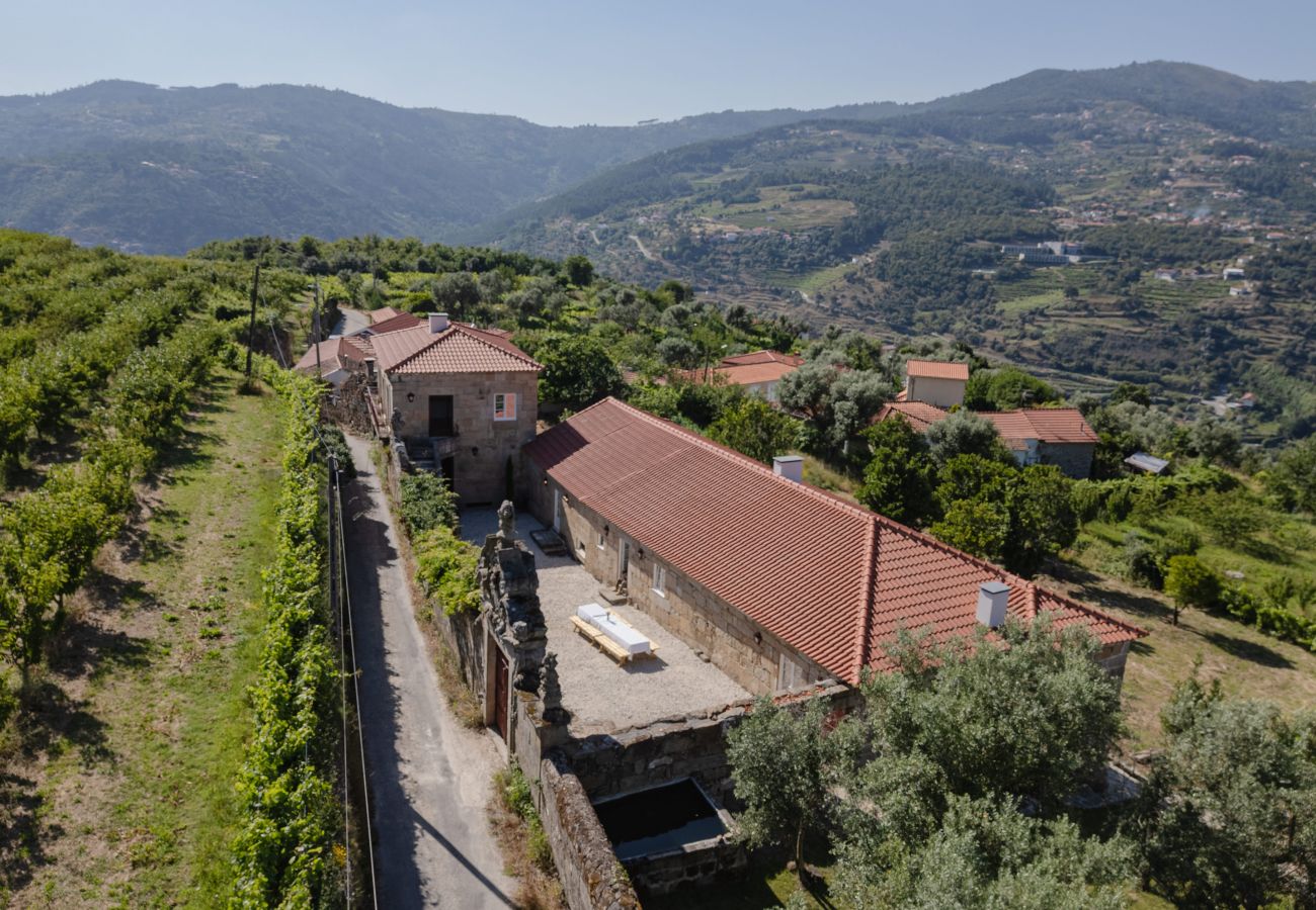 Villa em Resende - Feel Discovery Casa da Granja Douro Valley