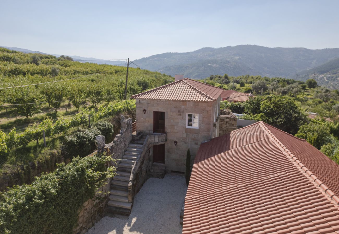 Villa em Resende - Feel Discovery Casa da Granja Douro Valley