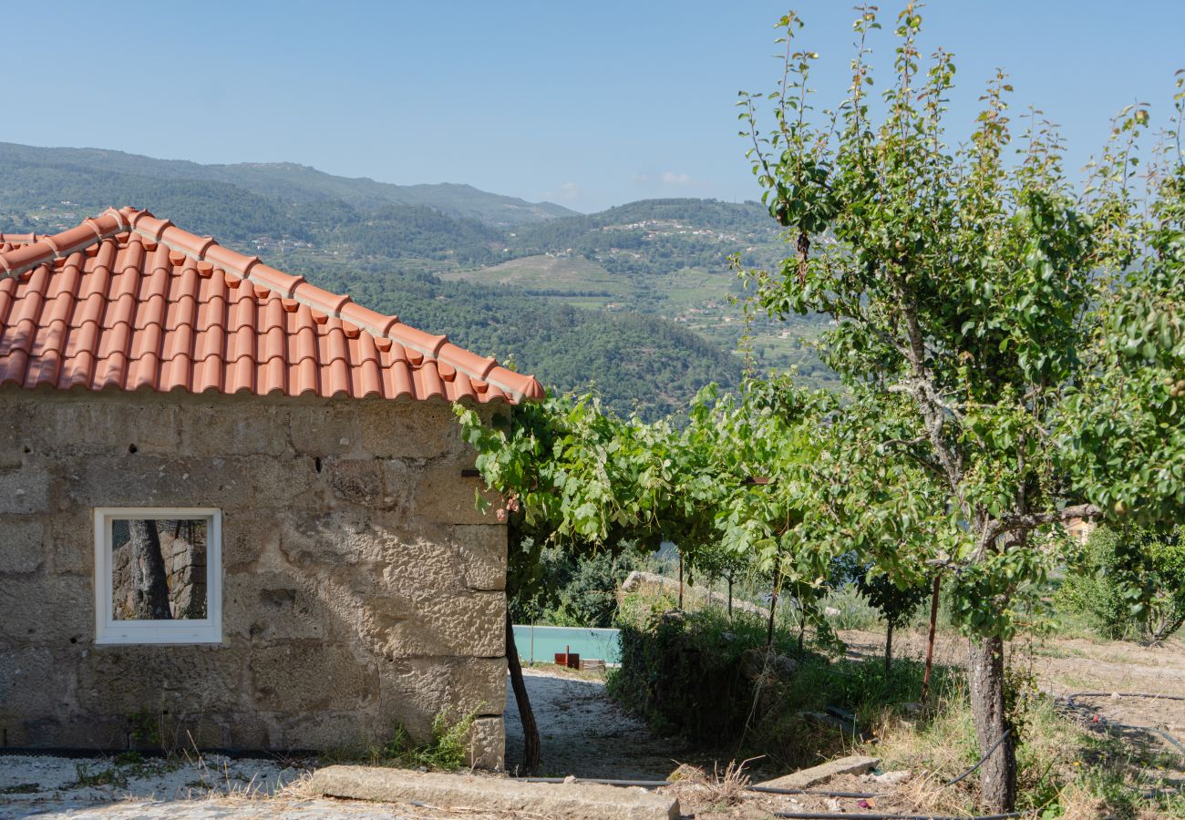 Villa em Resende - Feel Discovery Casa da Granja Douro Valley