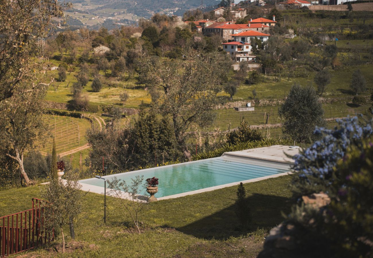 Villa em Resende - Feel Discovery Casa da Granja Douro Valley