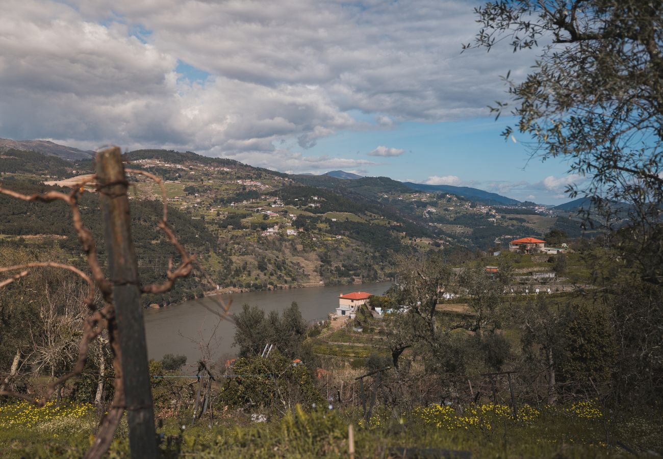 Villa em Resende - Feel Discovery Casa da Granja Douro Valley