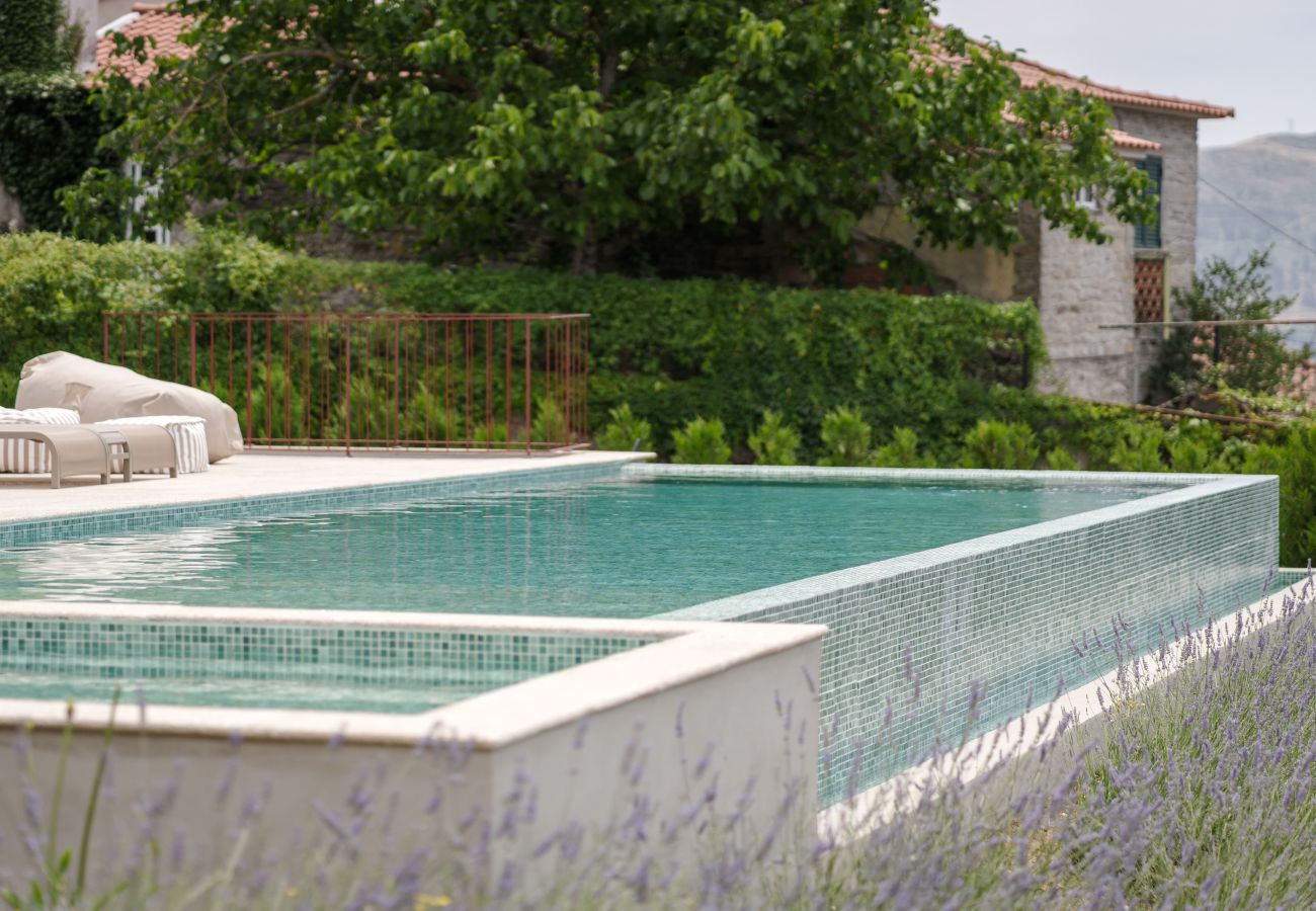 Apartamento em Peso da Régua - Casa da Lameira by Feel Discovery - Francelinha