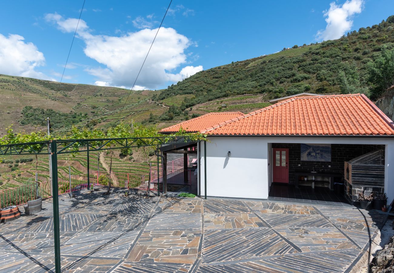 Villa em Desejosa - Feel Discovery Casa Fonte do Lagar