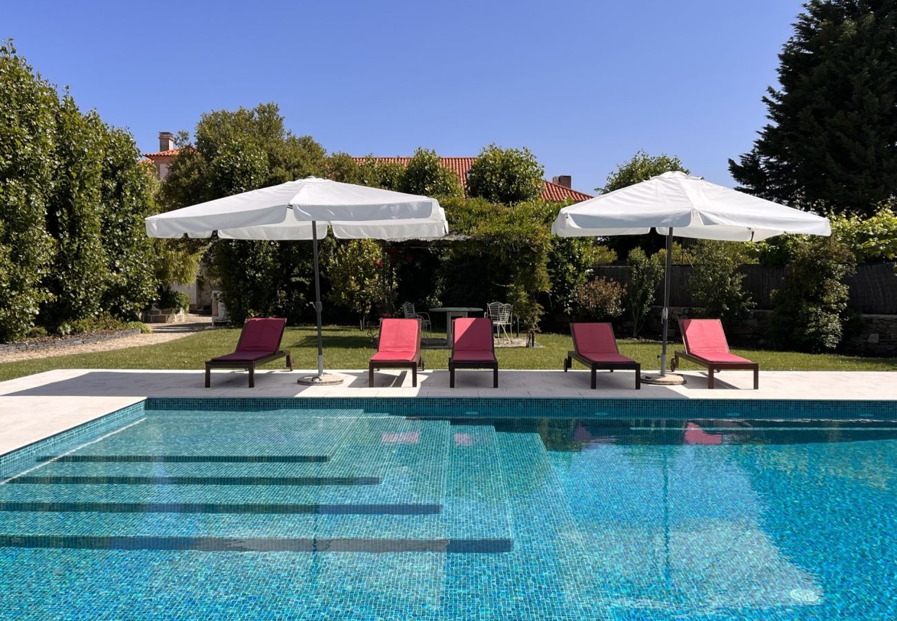 Villa in Armamar - Feel Discovery Casa da Capela