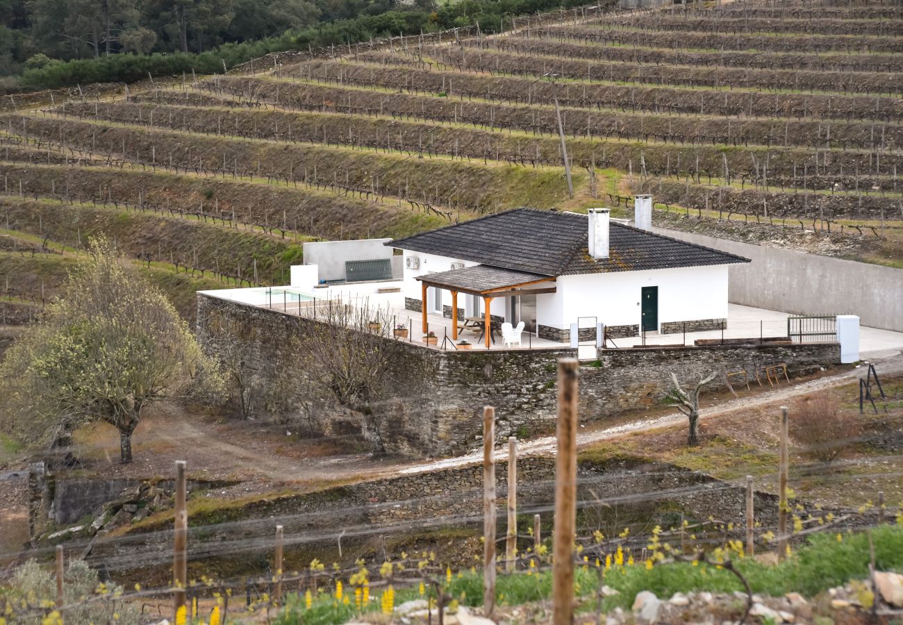 Villa in Peso da Régua - Feel Discovery Quinta do Muro Douro Valley