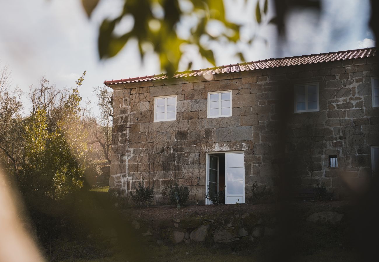 Villa in Resende - Feel Discovery Casa da Granja Douro Valley