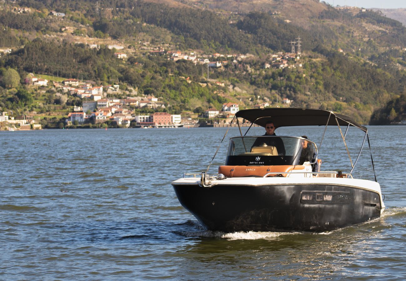 Villa in Resende - Feel Discovery Mirão River House Douro Valley
