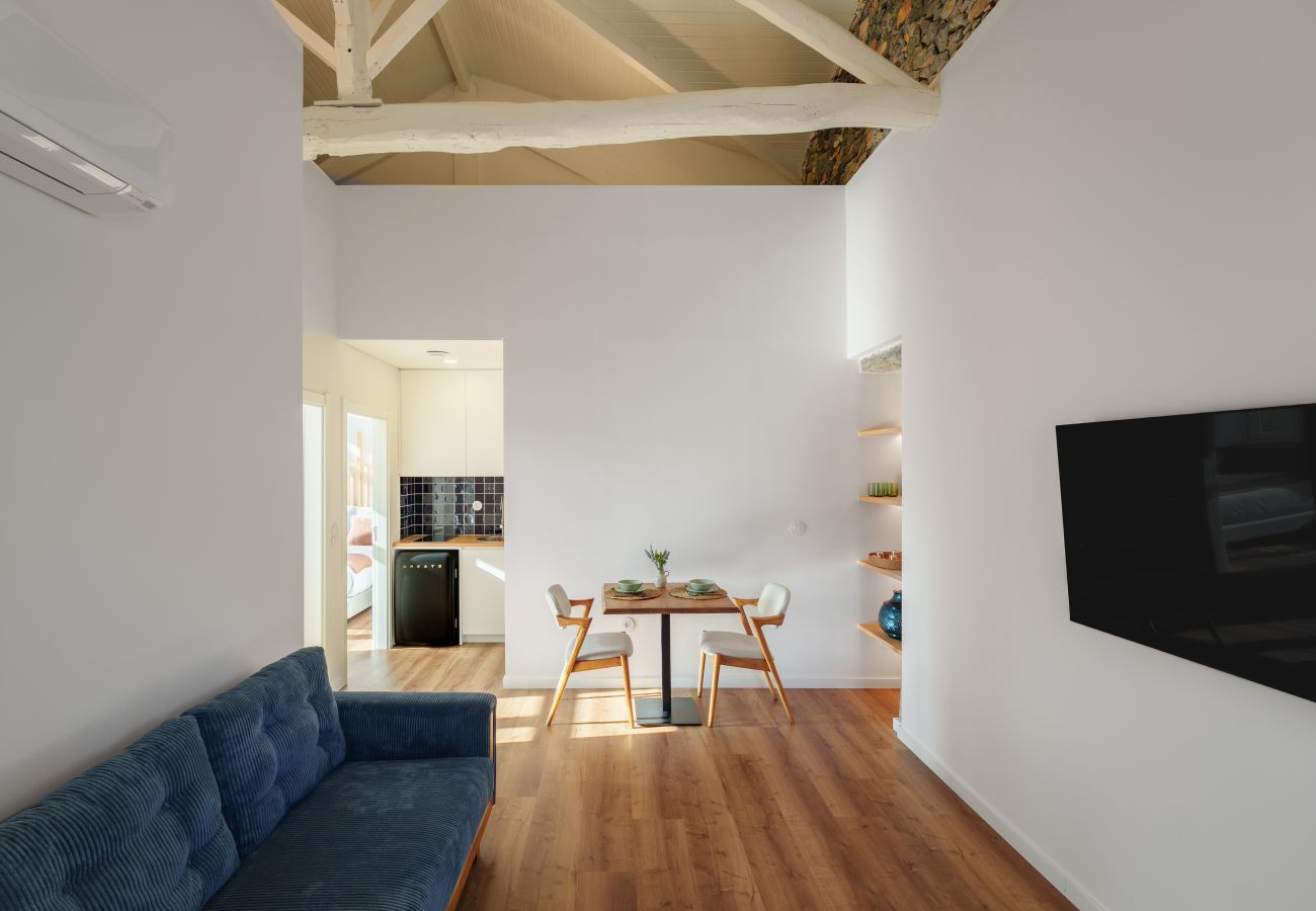Apartment in Peso da Régua - Casa da Lameira by Feel Discovery - Francelinha