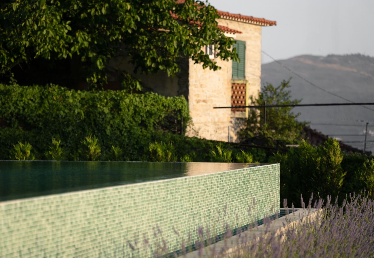Apartment in Peso da Régua - Casa da Lameira by Feel Discovery - Francelinha