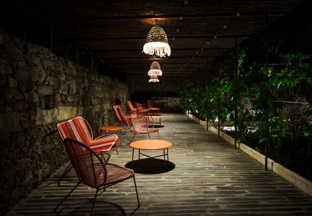 Apartment in Peso da Régua - Casa da Lameira by Feel Discovery - Francelinha