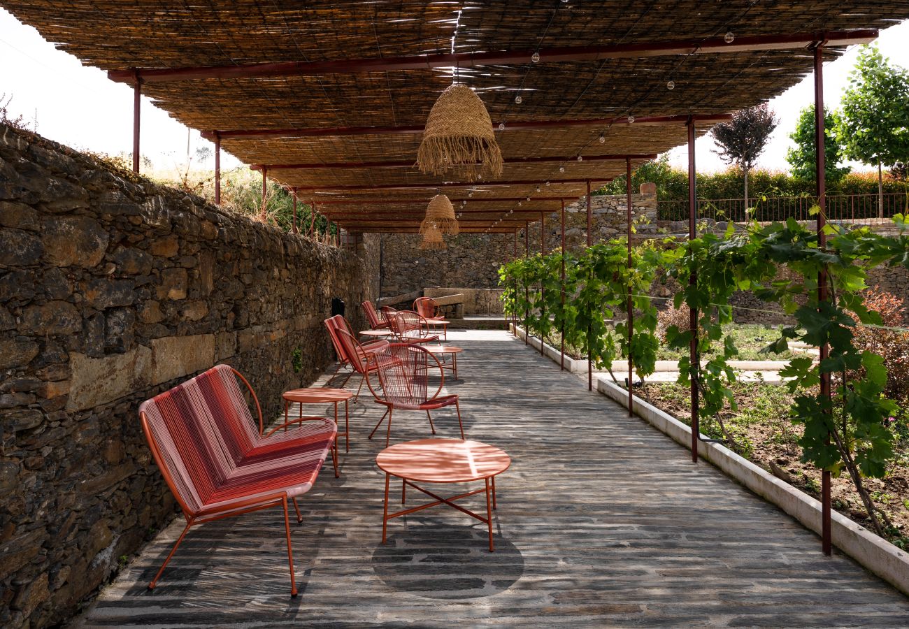 Apartment in Peso da Régua - Casa da Lameira by Feel Discovery - Francelinha