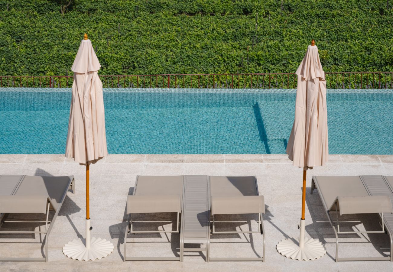 Apartment in Peso da Régua - Casa da Lameira by Feel Discovery - Rosalina