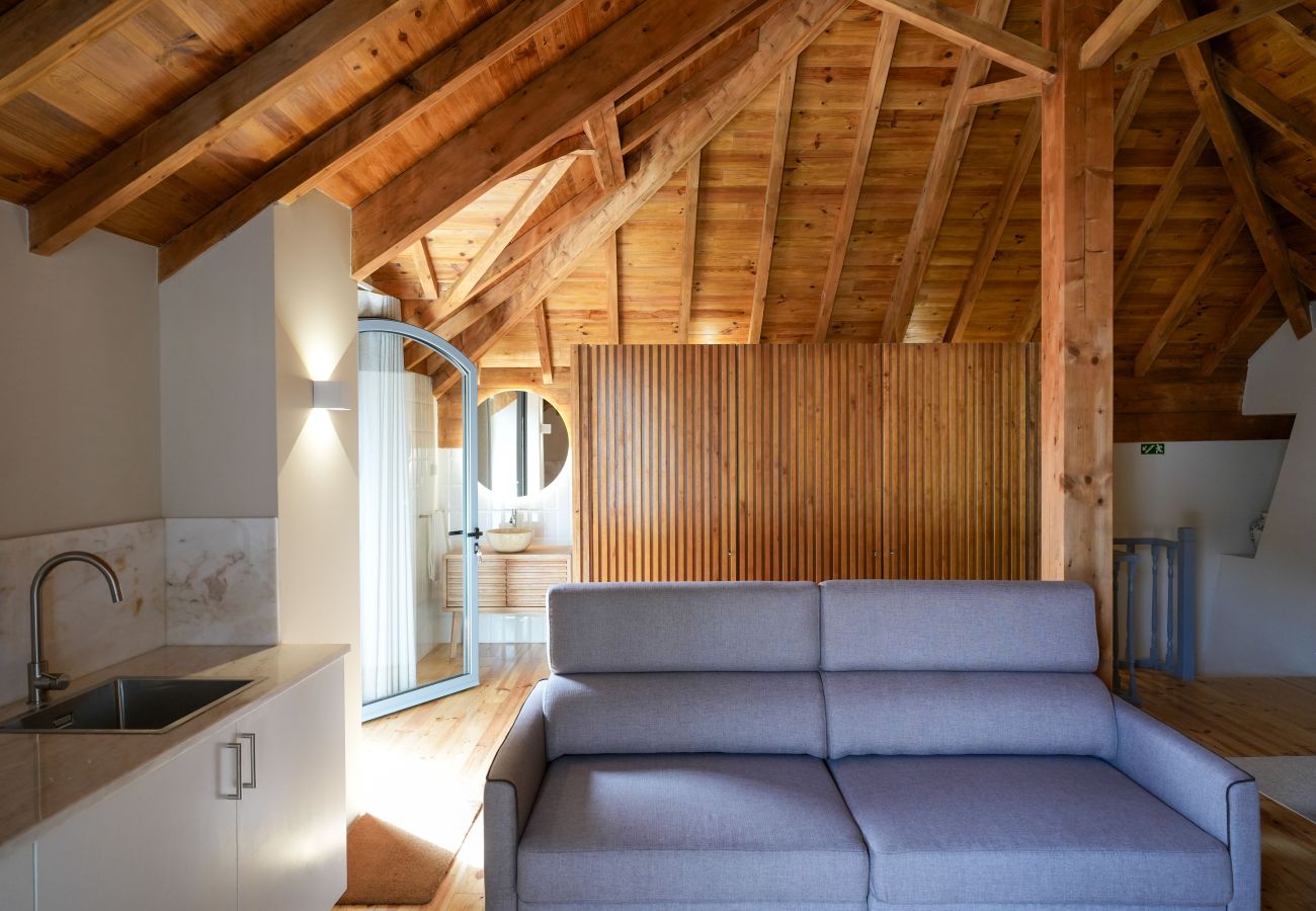 Studio in Mós - Feel Discovery Casa da Aldeia