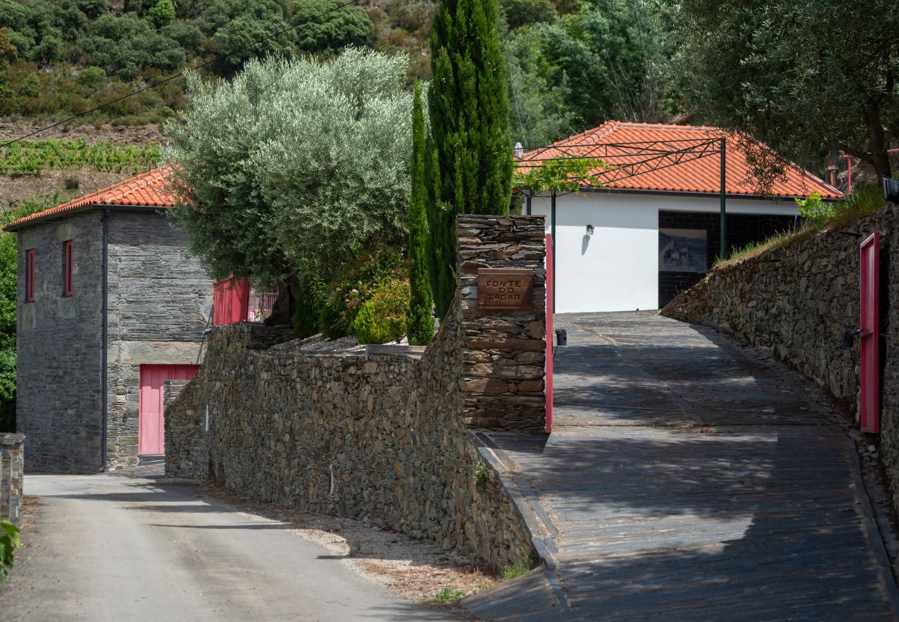 Villa in Desejosa - Feel Discovery Casa Fonte do Lagar