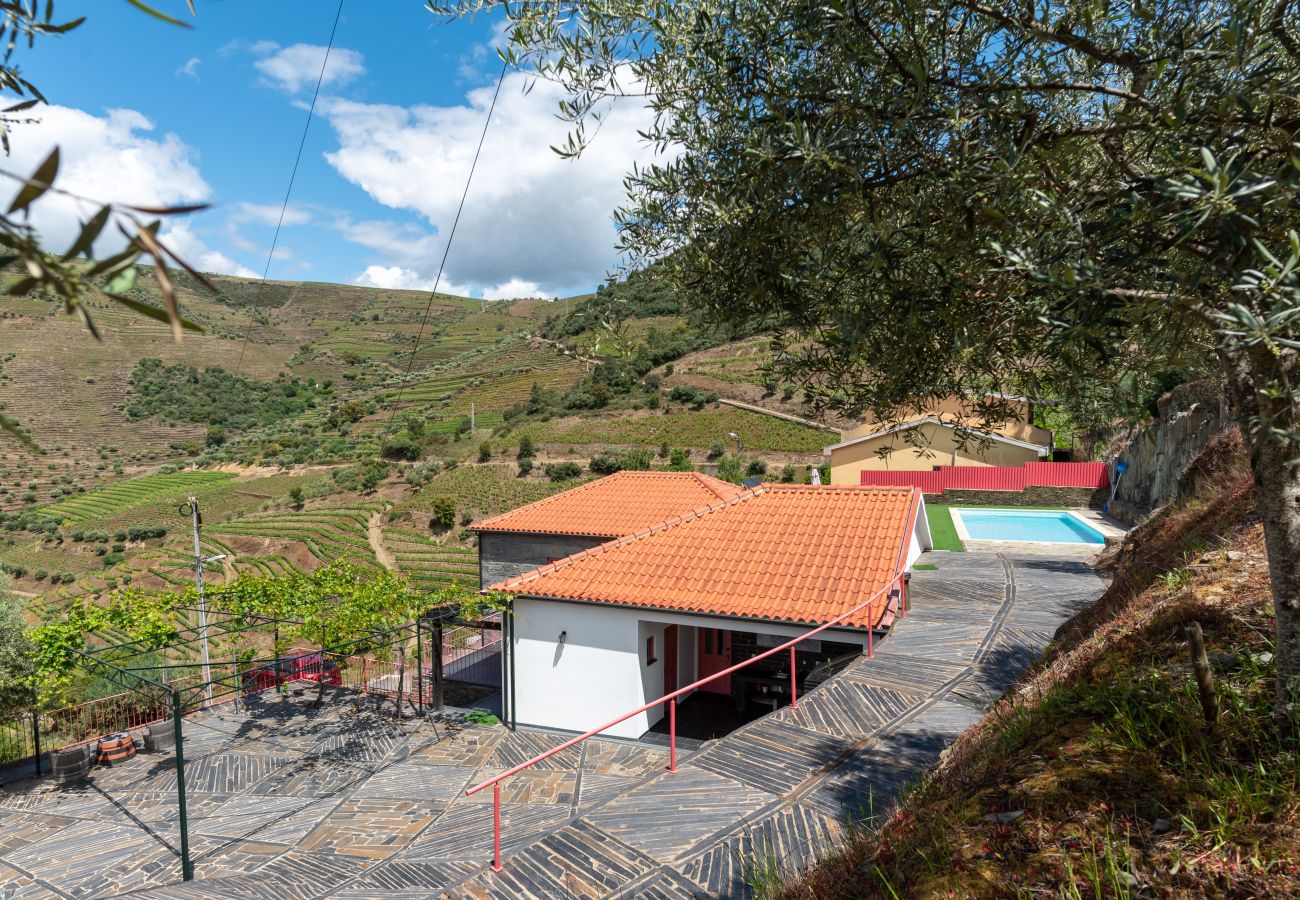 Villa in Desejosa - Feel Discovery Casa Fonte do Lagar