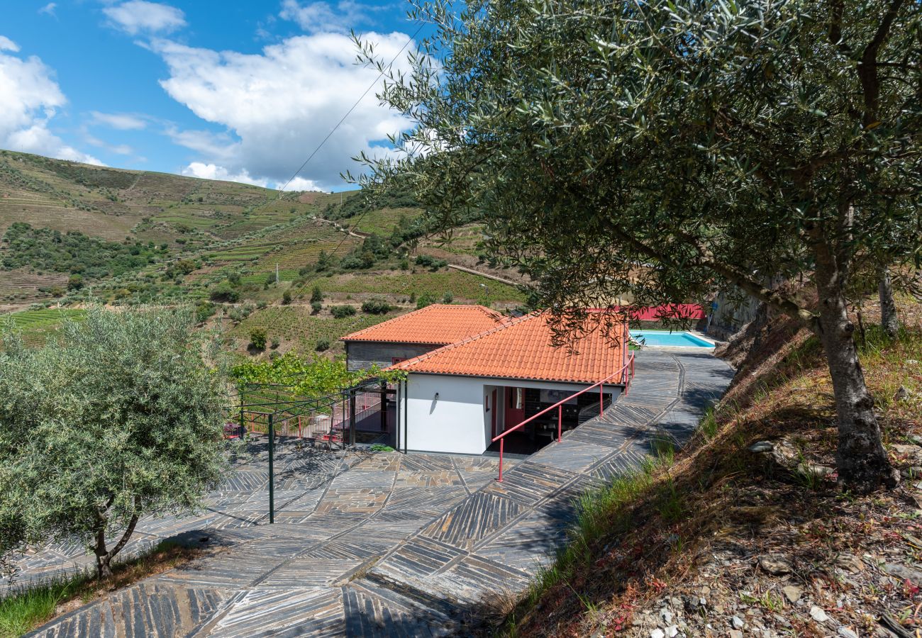 Villa in Desejosa - Feel Discovery Casa Fonte do Lagar